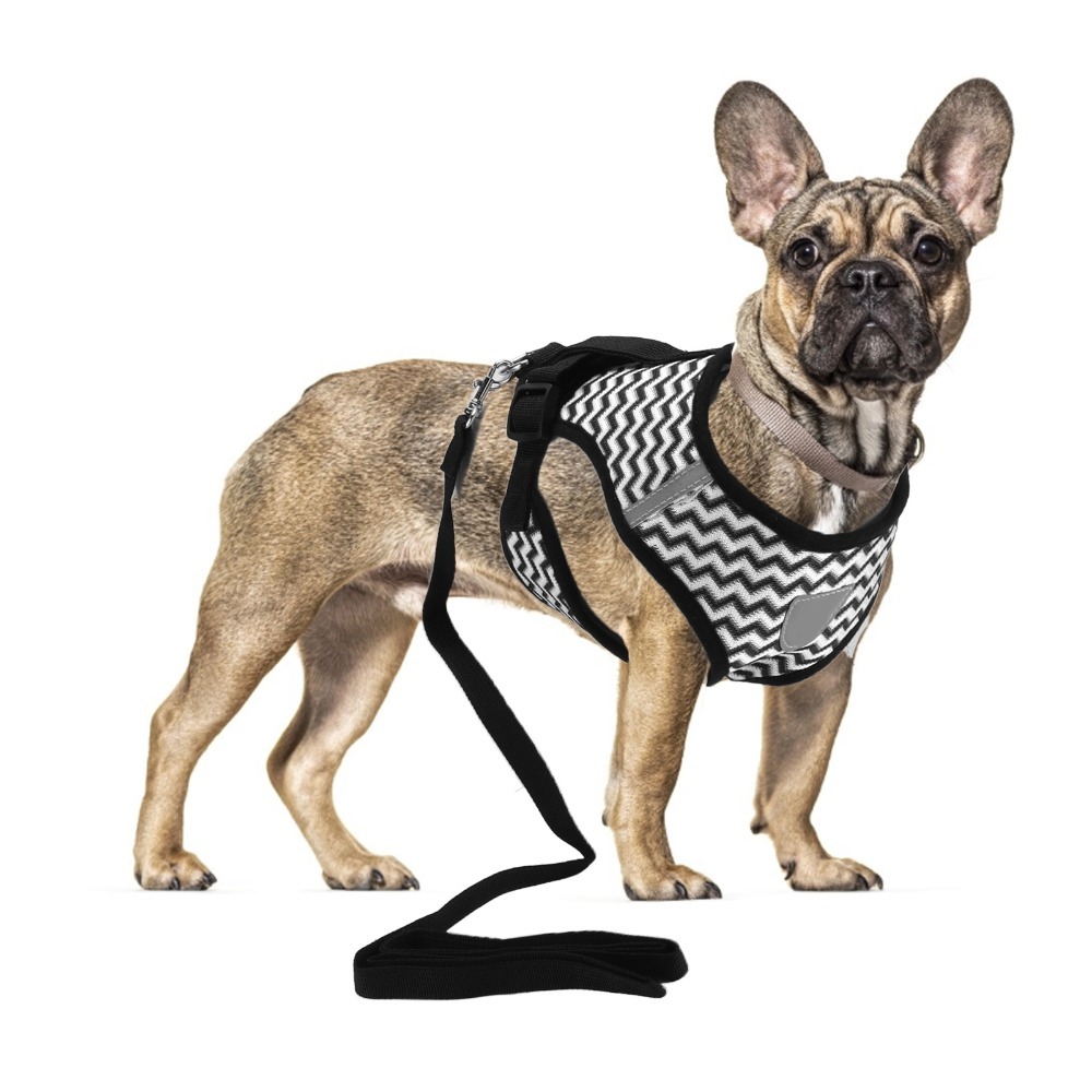 Fabric Weight Set - Ensemble de harnais pour animaux de